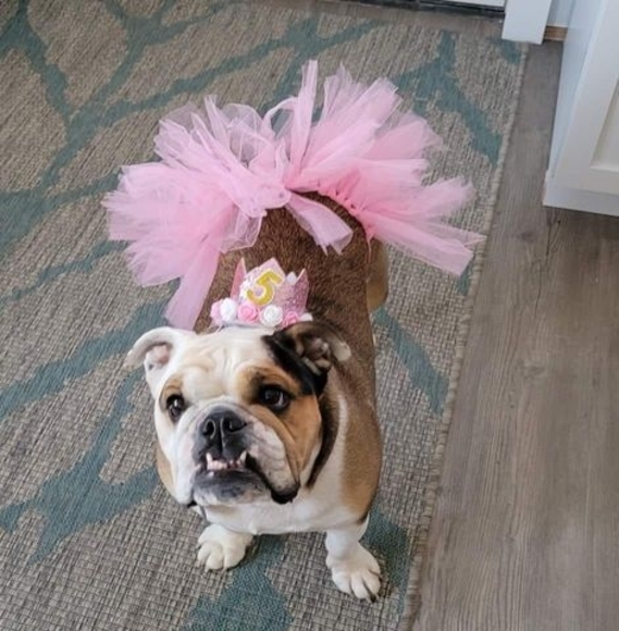 Meet your Posher, Kimberley - Picture 1 of 1